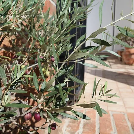 Casa Cloe Appartement Taormina